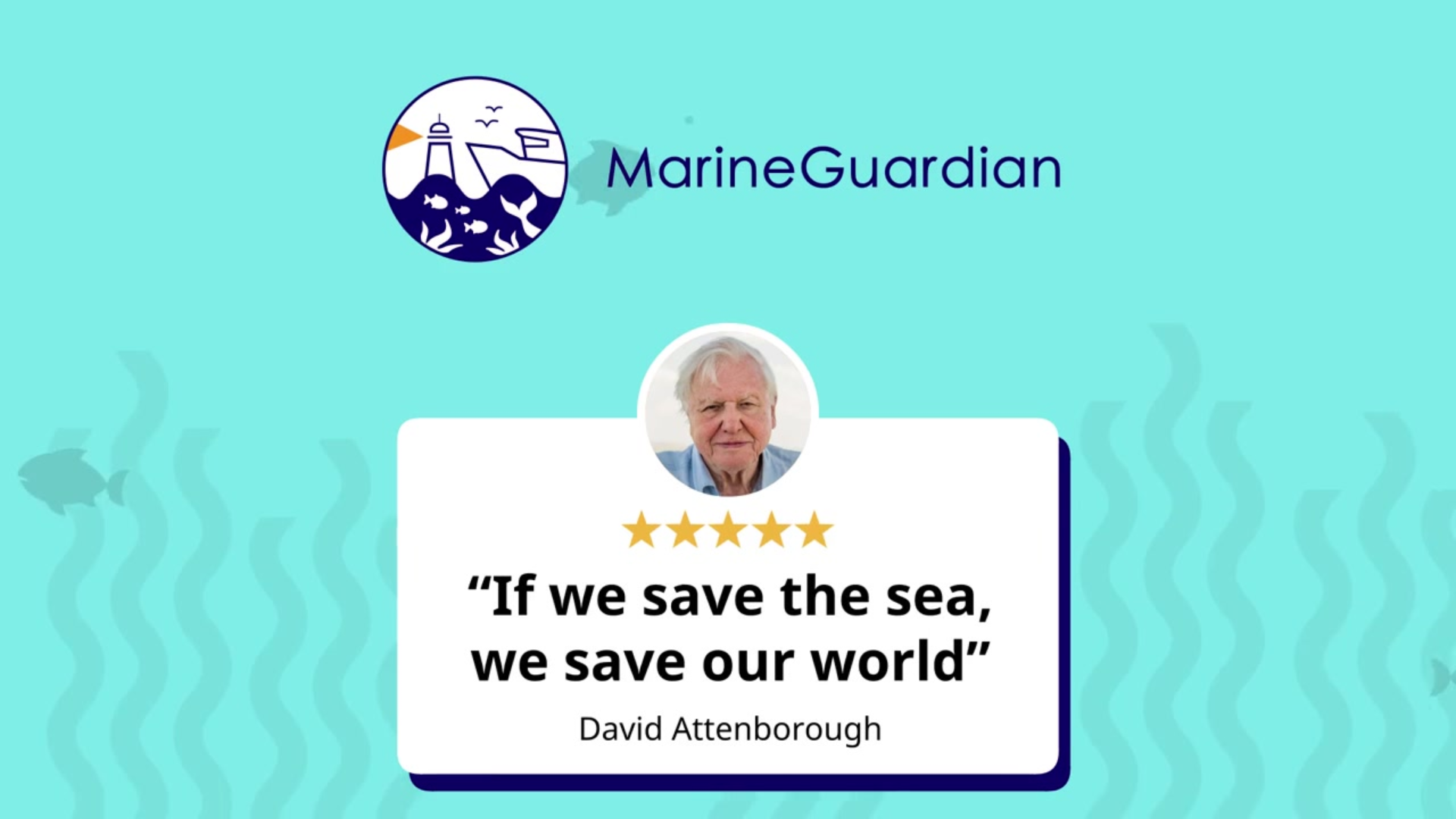 The challenges ahead: MarineGuardian Video