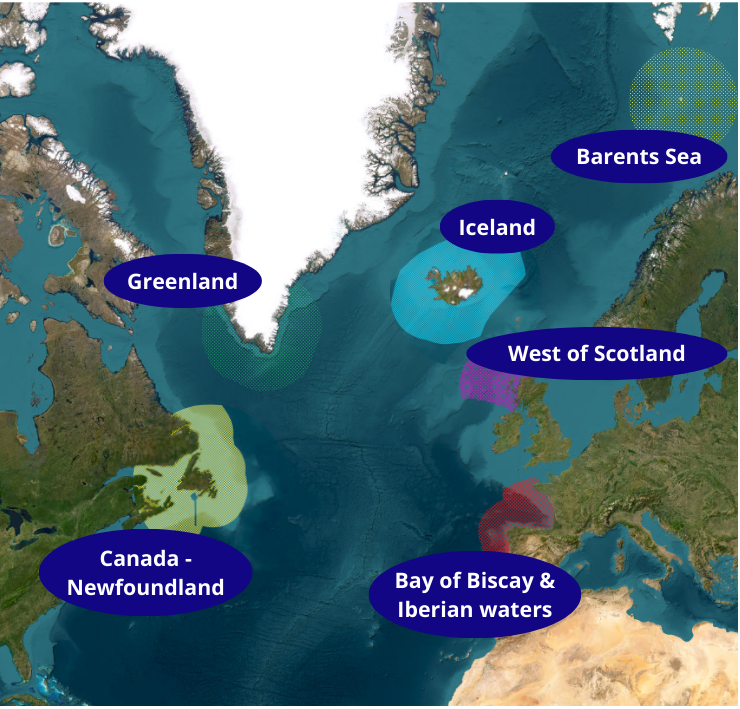 Cases studies from marineGuardian