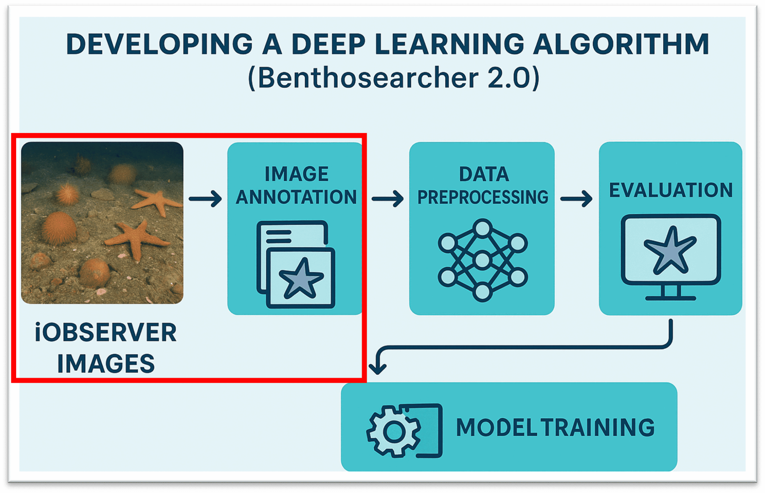Using artificial intelligence (AI) to better understand — and protect — life on the seafloor